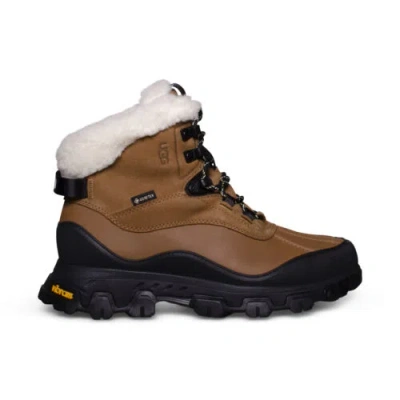 Pre-owned Ugg Adirondack Meridian Hiker Chestnut Leather Women's Boots Size Us 11/uk 9 In Brown