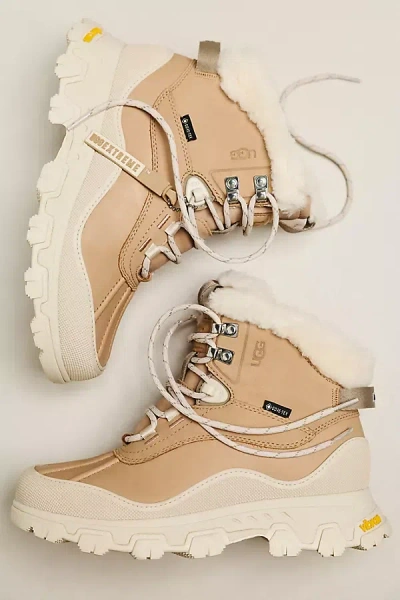 Ugg Adirondack Meridian Hiker Sneakers In Brown