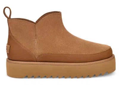 Pre-owned Ugg Alina Ultra Mini Platform Boot (women's) Sneakers In Chestnut In Brown