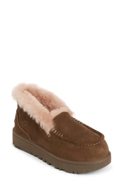 Ugg ® Ansley Parc Genuine Shearling Platform Slipper In Brown