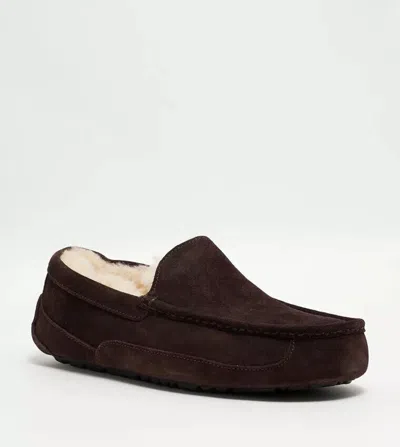 Ugg Ascot 1101110w-esp Loafers Slippers Men's Size Us 12 Espresso Suede Slip-on