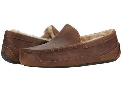 UGG ASCOT