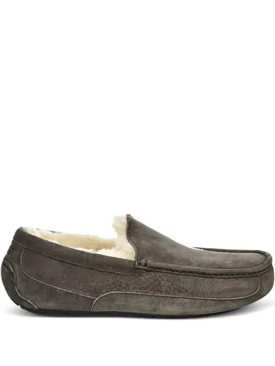 Ugg Ascot "charcoal" Loafers