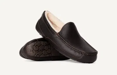 Ugg Ascot Men Shoes In Dark Spice In Multi