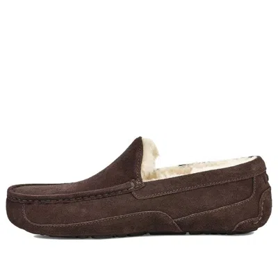 Ugg Ascot Slipper Cozy Athleisure Casual Sports Shoe Brown Fleece Lined