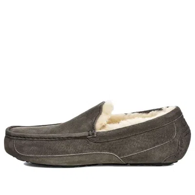 Ugg Ascot Slipper Cozy Fleece Lined Athleisure Casual Sports Shoe Gray