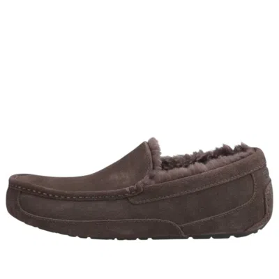 UGG UGG Ascot Slipper 'Dusted Cocoa'