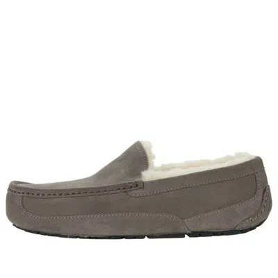 Ugg Ascot Slipper 'grey' In Gray