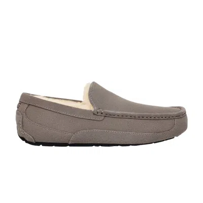 Pre-owned Ugg Ascot Slipper 'grey' | Men's Size 18