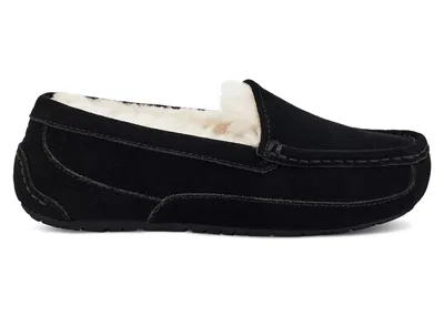 Pre-owned Ugg Ascot Slipper (kids) Sneakers In Black Suede