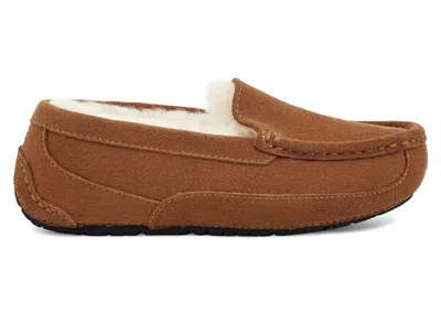 Pre-owned Ugg Ascot Slipper (kids) Sneakers In Chestnut Suede