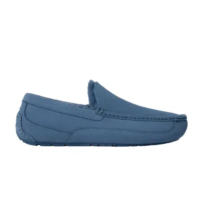 Pre-owned Ugg Ascot Slipper 'pacific Blue' | Men's Size 11