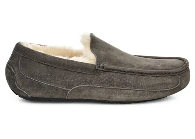 Pre-owned Ugg Ascot Slipper (women's) Sneakers In Charcoal In Gray