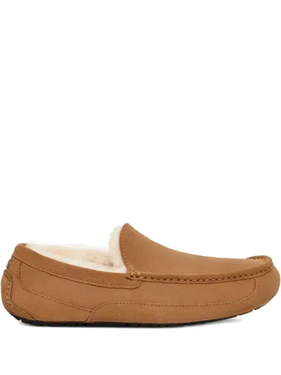 Ugg Ascot Slippers