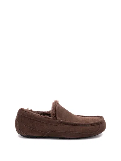 Ugg `ascot` Slippers In Brown