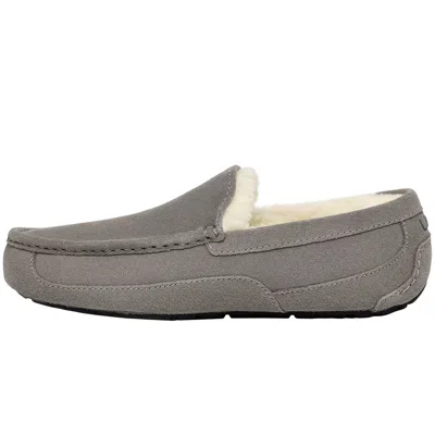 Ugg Ascot Slippers Grey In Gray