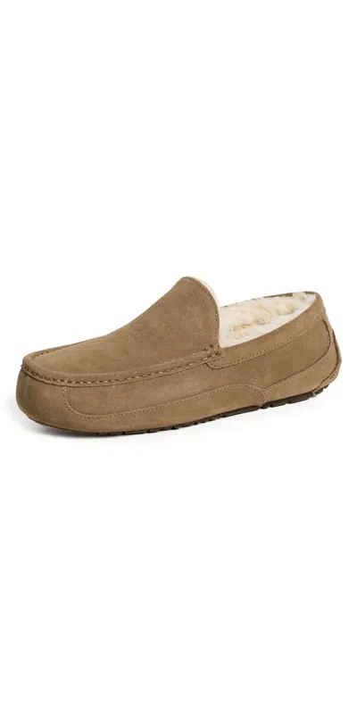 Ugg Ascot Slippers Light Bronze In Brown