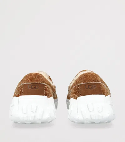 Ugg Ascot Vibram Wrap Tech Loafers In Beige