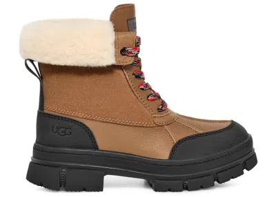 Pre-owned Ugg Ashton Addie Boot (women's) Sneakers In Chestnut
