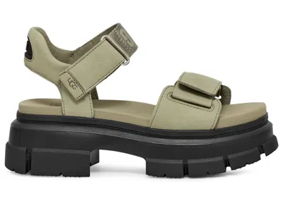 Pre-owned Ugg Ashton Ankle Sandal (women's) Sneakers In Shaded Clover