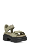 Ugg Sandal Ashton In Shaded Clover