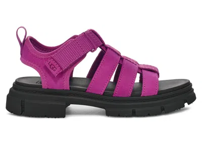 Pre-owned Ugg Ashton Strap Sandal (kids) Sneakers In Mangosteen In Purple
