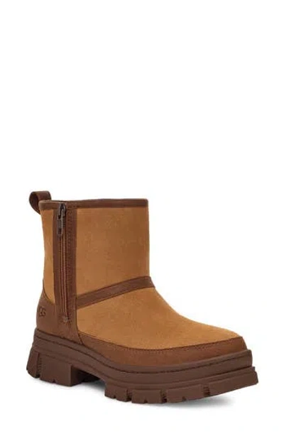 Ugg ® Ashton Zip Waterproof Boot In Chestnut