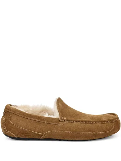 Ugg Ascot Slipper One Pedal Athleisure Casual Sports Shoes Fleece Lined In Multi