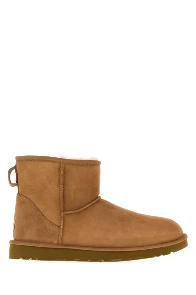 Ugg Biscuit Suede Classic Mini Ii Ankle Boots In Brown