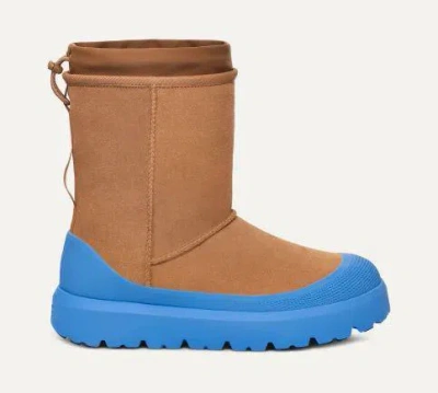 Ugg Boot In Multicolor