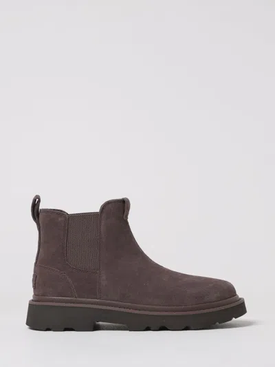 Ugg Shoes  Men Color Brown