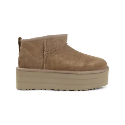 Ugg Boots In Brown
