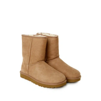 UGG BOTTINES CLASSIC SHORT