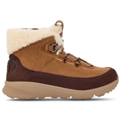 Ugg Kids' Boys Preschool   Terretrail Cozy Lace In Chestnut