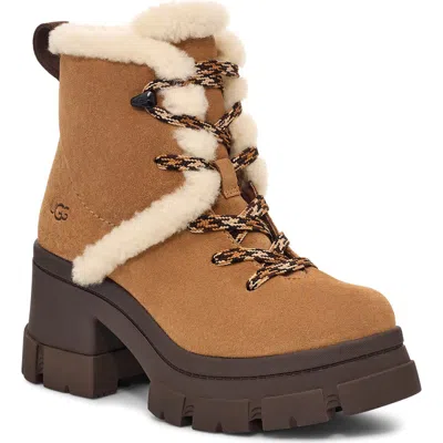 Ugg ® Brooklyn Water Resistant Hiker Boot With Genuine Shearling Trim In Chestnut