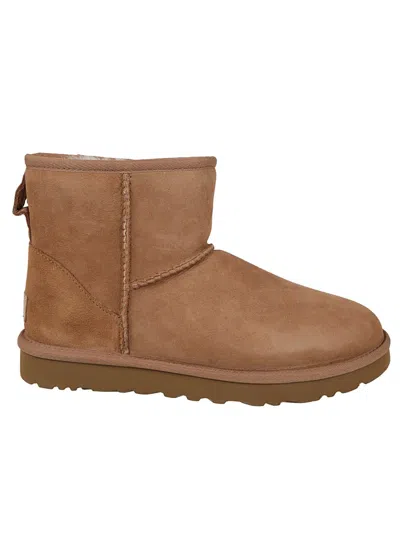 Ugg Brown Ankle Boots