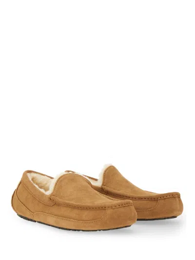 Ugg Brown Loafer Perfection
