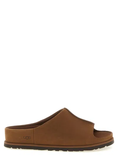 Ugg Brown Solid Slides