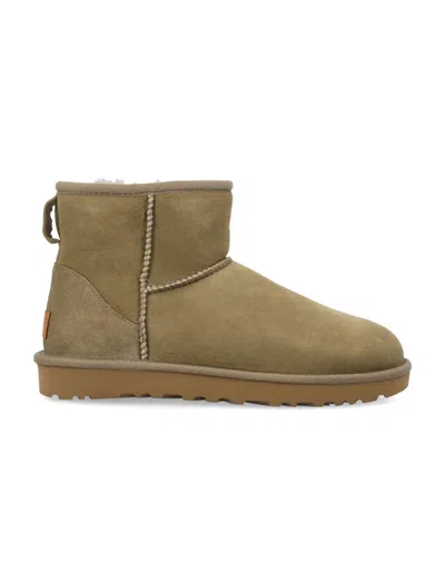 Ugg Brown Suede Boots In Green