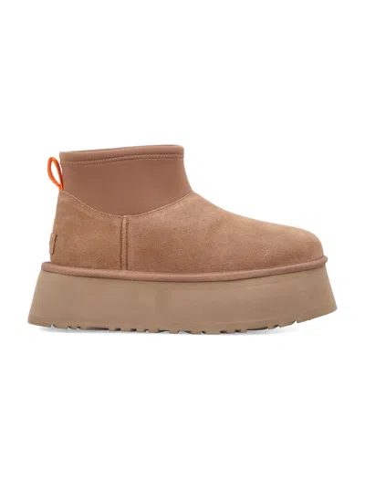 Ugg Camel Suede Mini Dipper Ankle Boots