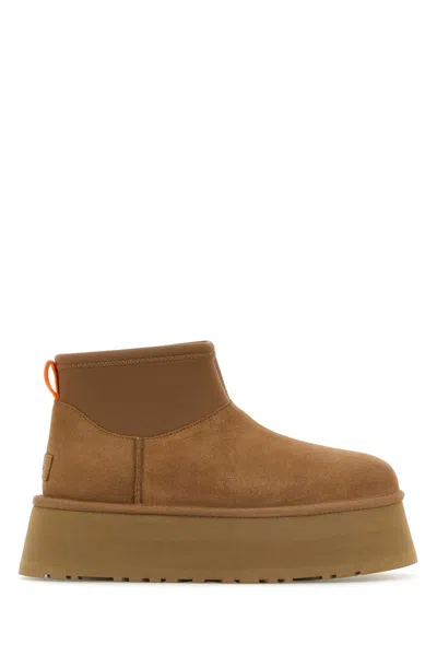 Ugg Biscuit Suede Classic Mini Dipper Ankle Boots In Chestnut