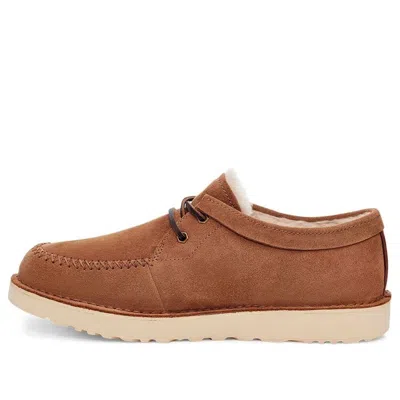 Ugg Campout Lace Low Short Boots Brown