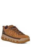 Ugg ® Captrail Low Waterproof Sneaker In Chestnut