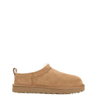 Ugg Classis Micro Mules Woman Chestnut In Multi