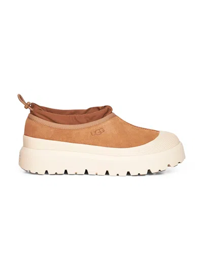 Ugg Chestnut Tasman Weather Hybrid Sneakers In White