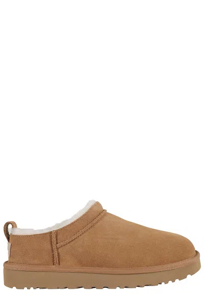 Ugg Chestnut W Classic Micro Water-resistant Suede Boots In Multi