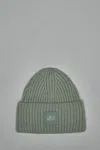 Ugg Chunky Rib Beanie In Green