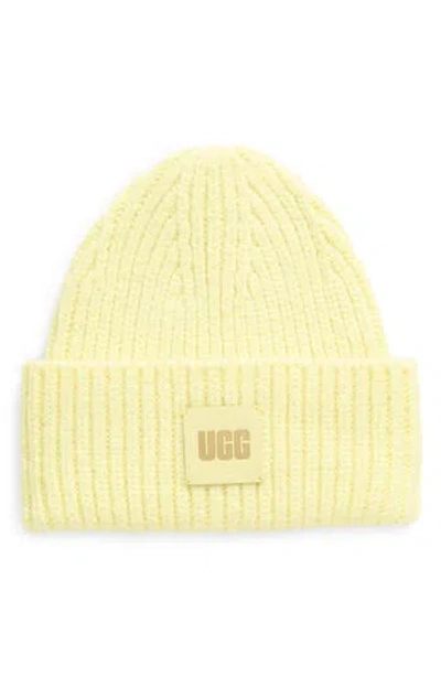 Ugg ® Chunky Ribbed Beanie