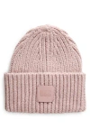 Ugg Chunky Ribbed Beanie In Purple