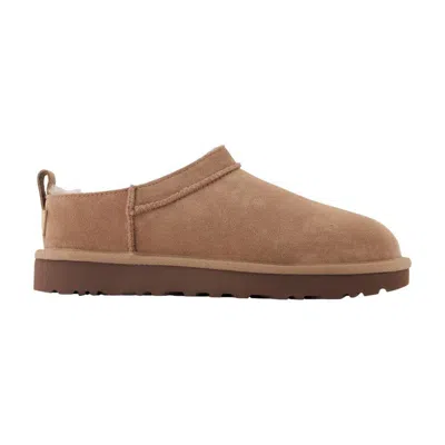 Ugg Classic Micro Ankle Boots In Neutral